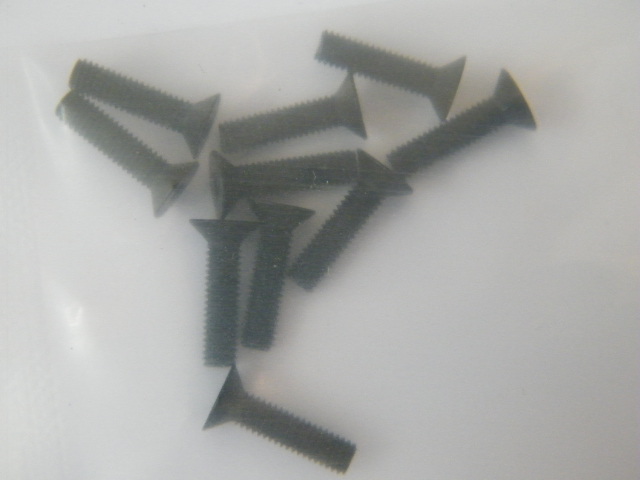 Flathead Screw M3x16 (10)